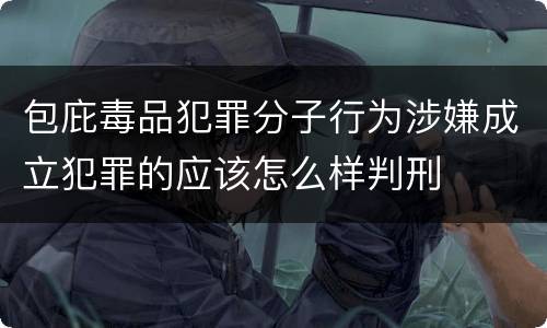 包庇毒品犯罪分子行为涉嫌成立犯罪的应该怎么样判刑