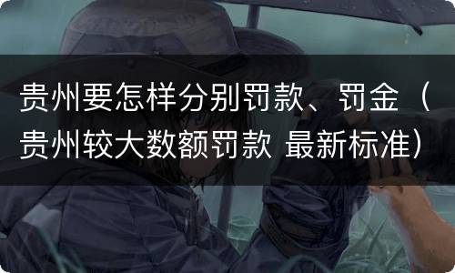 贵州要怎样分别罚款、罚金（贵州较大数额罚款 最新标准）