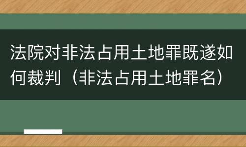 法院对非法占用土地罪既遂如何裁判（非法占用土地罪名）