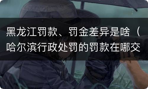 黑龙江罚款、罚金差异是啥（哈尔滨行政处罚的罚款在哪交）