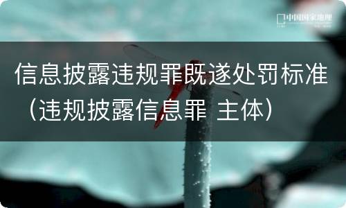 信息披露违规罪既遂处罚标准（违规披露信息罪 主体）