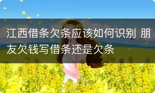 江西借条欠条应该如何识别 朋友欠钱写借条还是欠条