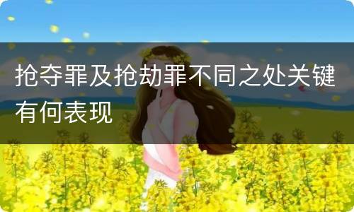 抢夺罪及抢劫罪不同之处关键有何表现