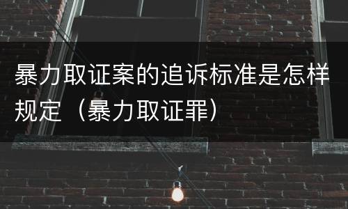 暴力取证案的追诉标准是怎样规定（暴力取证罪）