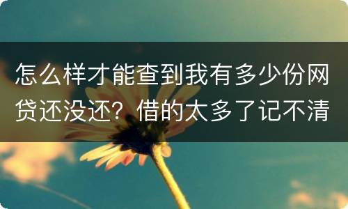 怎么样才能查到我有多少份网贷还没还？借的太多了记不清了