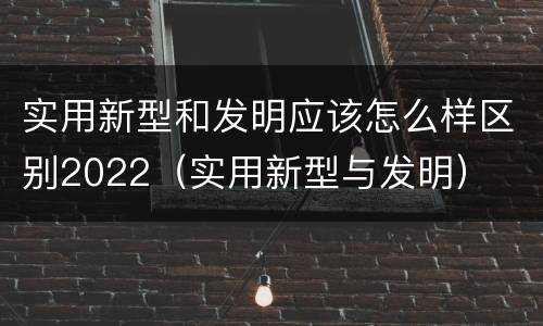 实用新型和发明应该怎么样区别2022（实用新型与发明）