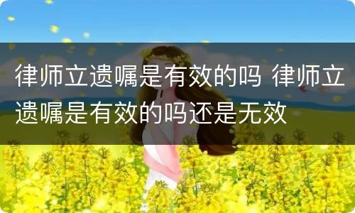 律师立遗嘱是有效的吗 律师立遗嘱是有效的吗还是无效