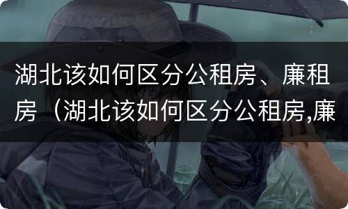 湖北该如何区分公租房、廉租房（湖北该如何区分公租房,廉租房呢）