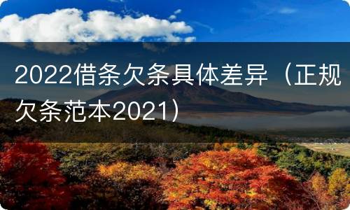 2022借条欠条具体差异（正规欠条范本2021）