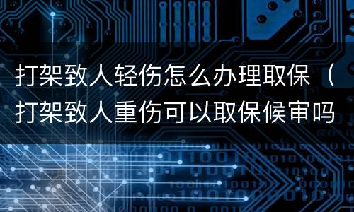 打架致人轻伤怎么办理取保（打架致人重伤可以取保候审吗）