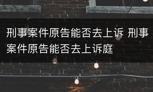 刑事案件原告能否去上诉 刑事案件原告能否去上诉庭