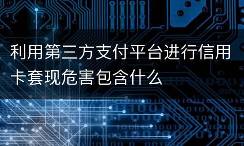 利用第三方支付平台进行信用卡套现危害包含什么