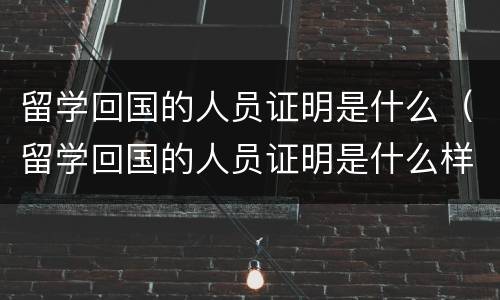 留学回国的人员证明是什么（留学回国的人员证明是什么样的）