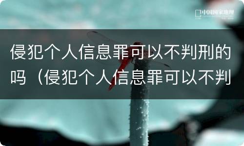 侵犯个人信息罪可以不判刑的吗（侵犯个人信息罪可以不判刑的吗知乎）