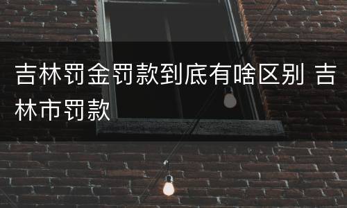 吉林罚金罚款到底有啥区别 吉林市罚款