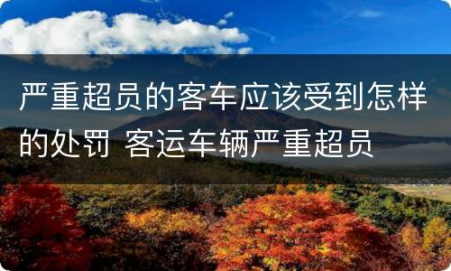 严重超员的客车应该受到怎样的处罚 客运车辆严重超员