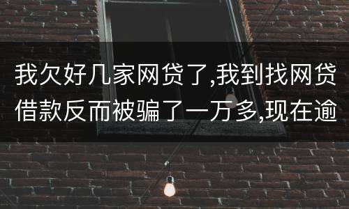 我欠好几家网贷了,我到找网贷借款反而被骗了一万多,现在逾期了好几家了,我给怎么办