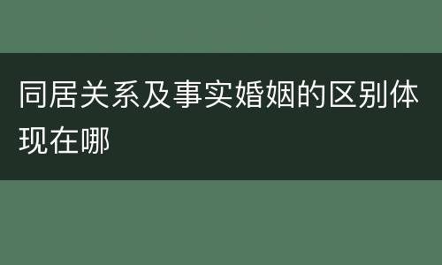 同居关系及事实婚姻的区别体现在哪