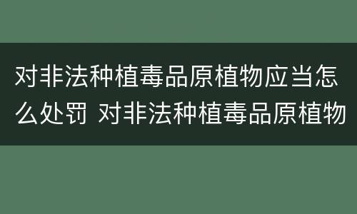 对非法种植毒品原植物应当怎么处罚 对非法种植毒品原植物经公安机关处理后又种植