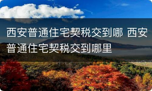 西安普通住宅契税交到哪 西安普通住宅契税交到哪里