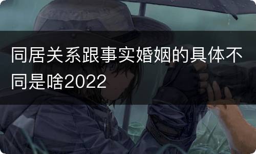 同居关系跟事实婚姻的具体不同是啥2022