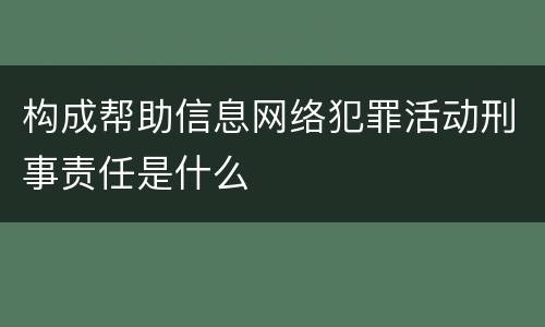 构成帮助信息网络犯罪活动刑事责任是什么