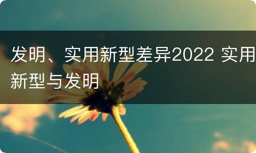 发明、实用新型差异2022 实用新型与发明