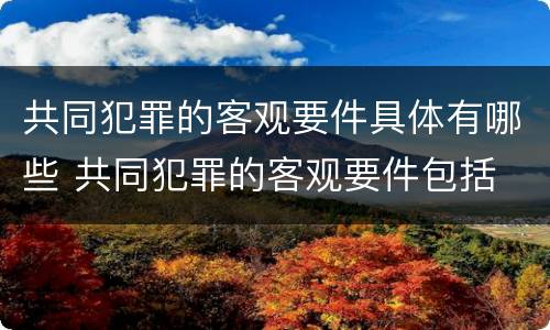 共同犯罪的客观要件具体有哪些 共同犯罪的客观要件包括