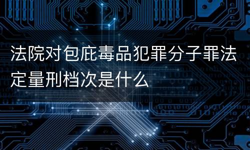 法院对包庇毒品犯罪分子罪法定量刑档次是什么