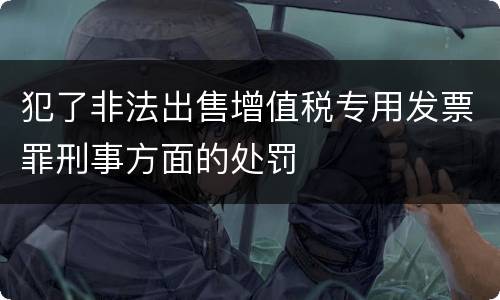 犯了非法出售增值税专用发票罪刑事方面的处罚