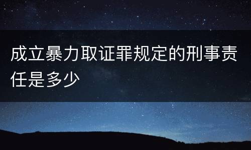 成立暴力取证罪规定的刑事责任是多少