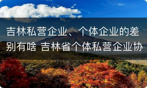 吉林私营企业、个体企业的差别有啥 吉林省个体私营企业协会