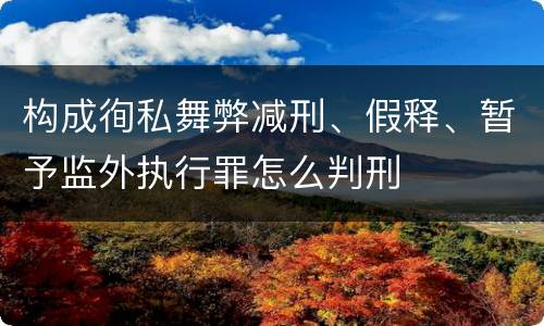 构成徇私舞弊减刑、假释、暂予监外执行罪怎么判刑