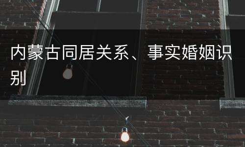 内蒙古同居关系、事实婚姻识别