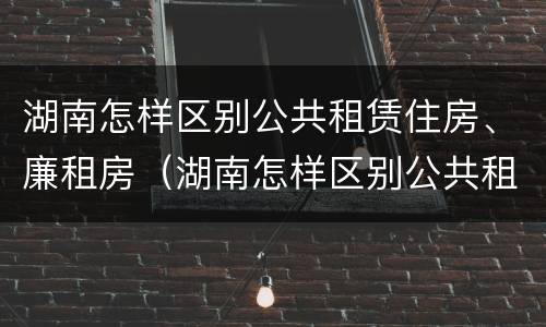 湖南怎样区别公共租赁住房、廉租房（湖南怎样区别公共租赁住房,廉租房和商品房）