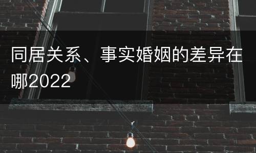 同居关系、事实婚姻的差异在哪2022