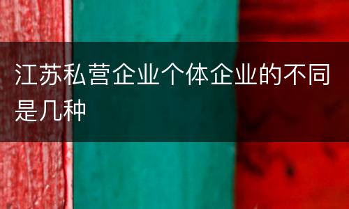 江苏私营企业个体企业的不同是几种