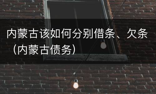 内蒙古该如何分别借条、欠条（内蒙古债务）