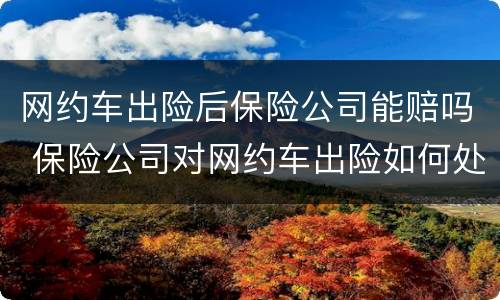 网约车出险后保险公司能赔吗 保险公司对网约车出险如何处理