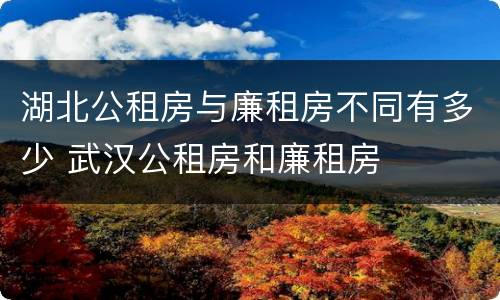 湖北公租房与廉租房不同有多少 武汉公租房和廉租房