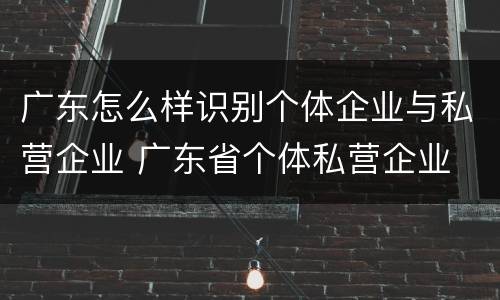 广东怎么样识别个体企业与私营企业 广东省个体私营企业