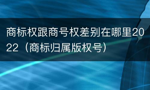 商标权跟商号权差别在哪里2022（商标归属版权号）