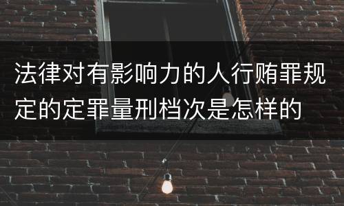 法律对有影响力的人行贿罪规定的定罪量刑档次是怎样的