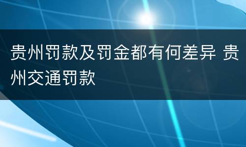 贵州罚款及罚金都有何差异 贵州交通罚款