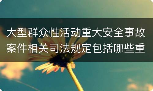 大型群众性活动重大安全事故案件相关司法规定包括哪些重要内容