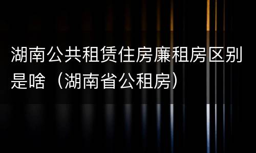 湖南公共租赁住房廉租房区别是啥（湖南省公租房）