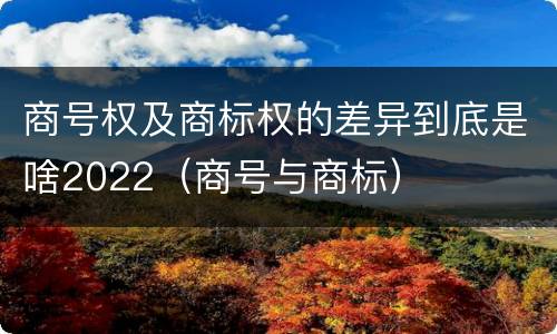 商号权及商标权的差异到底是啥2022（商号与商标）