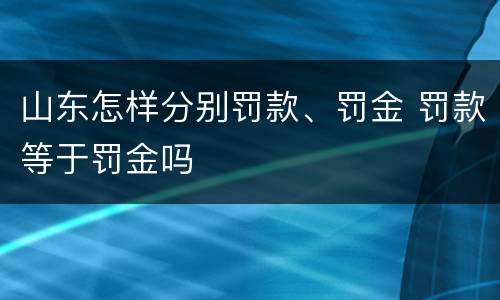 山东怎样分别罚款、罚金 罚款等于罚金吗