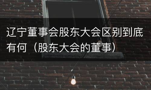 辽宁董事会股东大会区别到底有何（股东大会的董事）