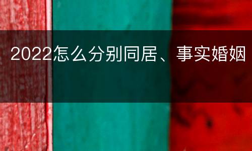 2022怎么分别同居、事实婚姻